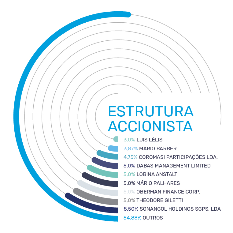 ESTRUTURA ACCIONISTA 03 (1) ESTRUTURA ACCIONISTA 03 (1)